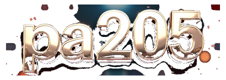 pa205 logo